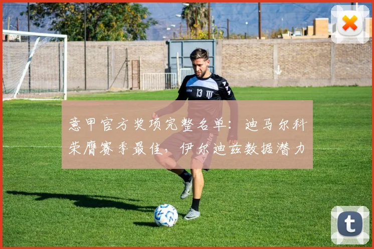 意甲官方奖项完整名单：迪马尔科荣膺赛季最佳，伊尔迪兹数据潜力全解析